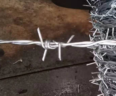 熱鍍鋅刺繩.jpg 熱鍍鋅刺繩.jpg