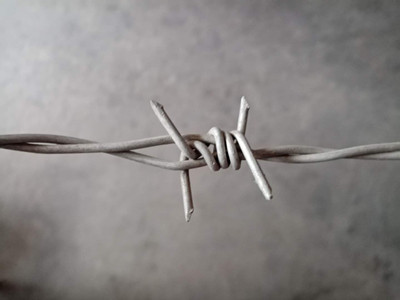 刺鐵絲.jpg 刺鐵絲.jpg
