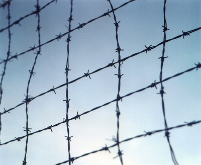 刺鐵絲.jpg 刺鐵絲.jpg