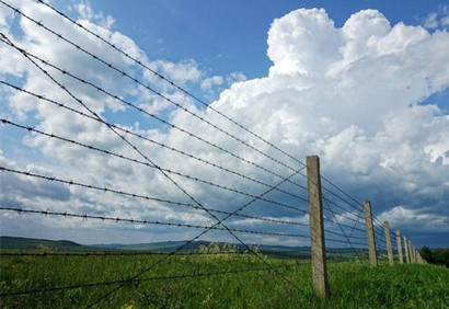 刺鐵絲.jpg 刺鐵絲.jpg