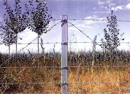 熱浸鍍鋅刺鋼絲.jpg 熱浸鍍鋅刺鋼絲.jpg