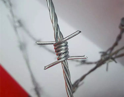 多股刺鋼絲.jpg 多股刺鋼絲.jpg