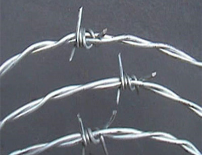 刺鐵絲網.jpg 刺鐵絲網.jpg