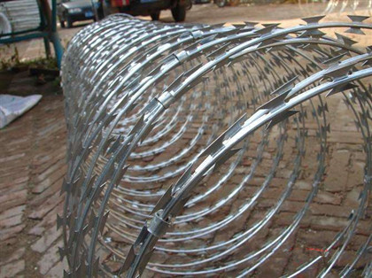 刺線圍欄.jpg 刺線圍欄.jpg