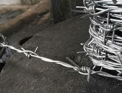 鐵蒺藜.jpg 鐵蒺藜.jpg