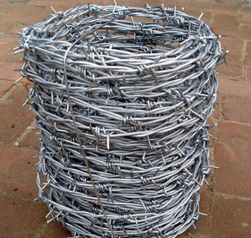 鍍鋅刺絲.jpg 鍍鋅刺絲.jpg